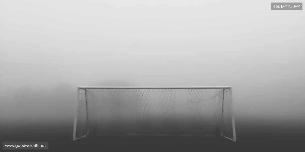 🎥高清直播，零时差直击赛场！💬